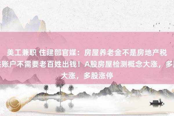 美工兼职 住建部官媒：房屋养老金不是房地产税，公共账户不需要老百姓出钱！A股房屋检测概念大涨，多股涨停