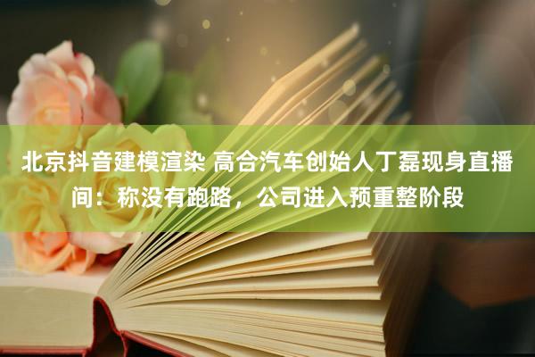 北京抖音建模渲染 高合汽车创始人丁磊现身直播间：称没有跑路，公司进入预重整阶段