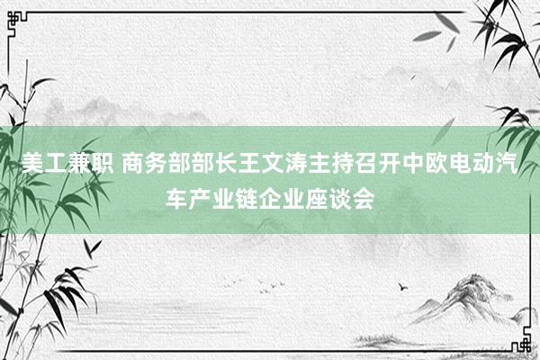 美工兼职 商务部部长王文涛主持召开中欧电动汽车产业链企业座谈会